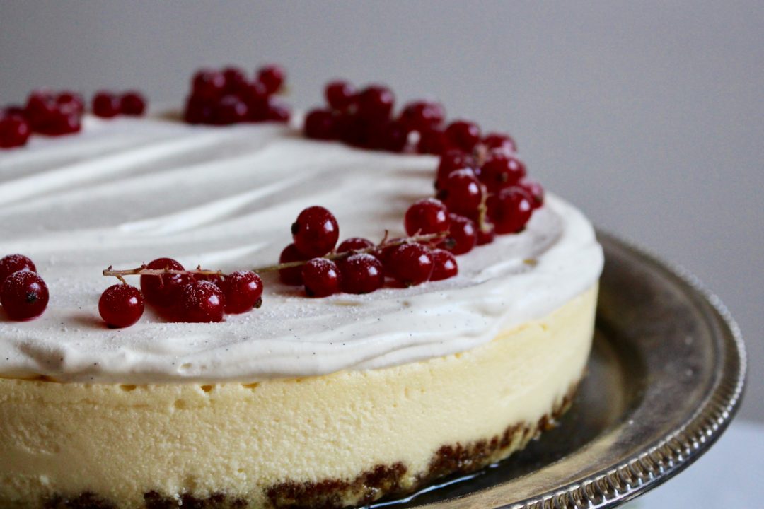 cheesecake med mascarpone och vit choklad cheesecake med mascarpone och vit choklad